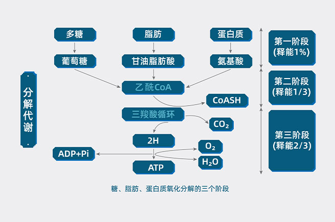 &#38886;&#24503;&#32593;&#31449;&#45;&#65288;&#20013;&#22269;&#65289;&#26377;&#38480;&#36131;&#20219;&#38886;&#24503;&#32593;&#31449;